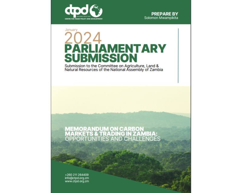 Carbon Markets and Trading 2024 (Parliamentary Submission) 